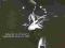 CD- MILES DAVIS- MILES IN TOKYO  (NOWA W FOLII)