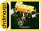 dvdmaxpl THE BRAND NEW HEAVIES FEAT.NICOLE: ALLABO
