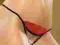 Axami V-1348 Stringi S