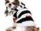 Gruby zimowy Sweterke dla psa * ESKIMO* DogsZone S