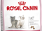 Royal Canin Kitten 36 - 2kg.