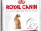 Royal Canin Exigent 33 Aromatic attraction - 2kg.