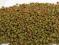 Kukurydziane zielone kuleczki - 1 kg