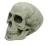 Figurka, figura czacha,czaszka duża komplet 2 szt