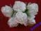 Kwiaty Róże Atłasowe na drucie 6szt śr.2,5cm!!