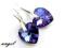 SWAROVSKI HEART HELIOTROPE 14mm KOLCZYKI SREBRO