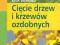 Cięcie drzew i krzewów ozdobnych