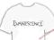 Evanescence Koszulka ewanscene koszulki XL