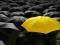 Żółta parasolka - fototapeta 183x254 cm