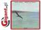 Return To Forever Corea Chick 1 Cd Ecm