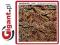 Dance Paul Motian Trio 1 Cd Ecm