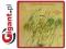 Rejoicing Metheny Pat 1 Cd Ecm
