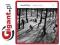 Le Pas Du Chat Noir Anouar Brahem 1 Cd Ecm