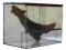 !!!!UWAGA PROMOCJA NA NOWE TERRARIUM 60x30x40 !!!!