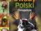 Owady Polski. Chrząszcze + DVD - - KONIN, Nowa !