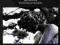 THE HILLIARD ENSEMBLE - OFFICIUM CD