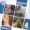 Cassandra Wilson Boxset 4 CD