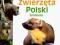 ZWIERZĘTA POLSKI SPOTKANIA + DVD S. Wąsik