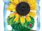 Kartka  przestrzenna 3D SŁONECZNIKI