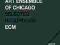 ART ENSEMBLE OF CHICAGO - ECM: RARUM CD