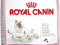 Royal Canin Babycat Feline 2kg