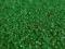 Sztuczna trawa Marbella Verde 200x200 cm ! Gęsta!