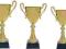 PUCHARY PUCHAR TROFEA KOMPLET 3szt GRAWERKA GRATIS