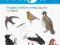 Ilustrowany atlas ptaków. Przegląd ptaków ...