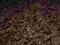 dywan shaggy brąz 120x170 5 cm wysokość włosa tani