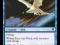 Welkin Tern x4 - Common Zendikar DarekMTG
