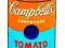 ANDY WARHOL_TOMATO SOUP  _50X70  płótno