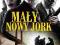 MAŁY NOWY JORK (Ethan Hawke) DVD