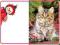 PUZZLE MAINE COON AMONGST BERRIES 1000 (C-101740)