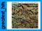PAUL MOTIAN TRIO: DANCE (CD)