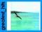 CHICK COREA: RETURN TO FOREVER (CD)