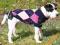 TRIXIE UBRANKO SWETER EDMONTON DLA PSA 25cm 30800