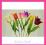 HURTOWNIA - SZTUCZNE KWIATY DRZEWKA tulipan 45cm