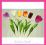 TULIPAN 55 SZTUCZNE KWIATY tulipany NAJWY JAKOŚĆ