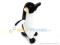 Pingwinek 17 cm - maskotka, pluszak Roxi
