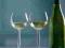 Rosendahl - małe kieliszki do wina typu Burgund