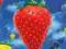 Lightning Seeds Jollification
