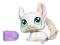 LITTLEST PET SHOP SZYSZYLKA #1401 PROMOCJA!!!