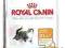 Royal Canin Hair & Skin 33 - 4 kg *ZW*