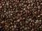 Świeże Ziarna Kawy V - fototapeta 175x115 cm