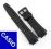 Pasek specjalny do zegarka CASIO AQ-163W AQ163