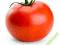 Pomidor HUZAR 1g 200 NASION MEGA PAKA