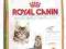 Royal Canin Maine Coon 36 Kitten - 4 kg *ZW*