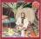 {{{ CD AL DI MEOLA - CASINO szybka wysyłka!! :)