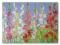 EBIER=Gladiole  =O/OLEJNY  60X80CM