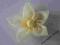 Broszka Kwiat Liliowa 12 cm MACIEJKO